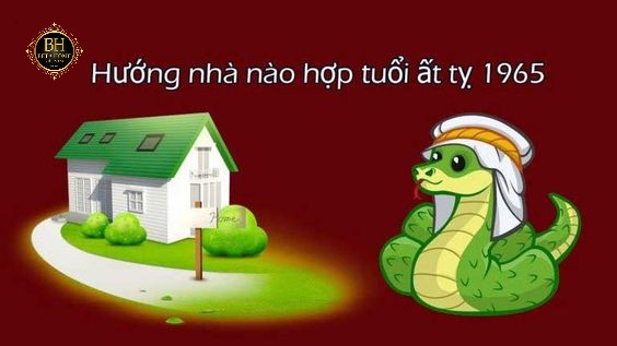 Tuổi Tỵ Hợp Hướng Nhà Nào? Hướng Dẫn Chọn Hướng Nhà Phù Hợp Và Tốt Nhất