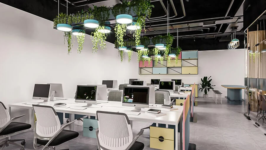 Thiết kế văn phòng 80m² bố trí không gian mở, kết hợp khu làm việc nhóm và khu tiếp khách nhỏ
