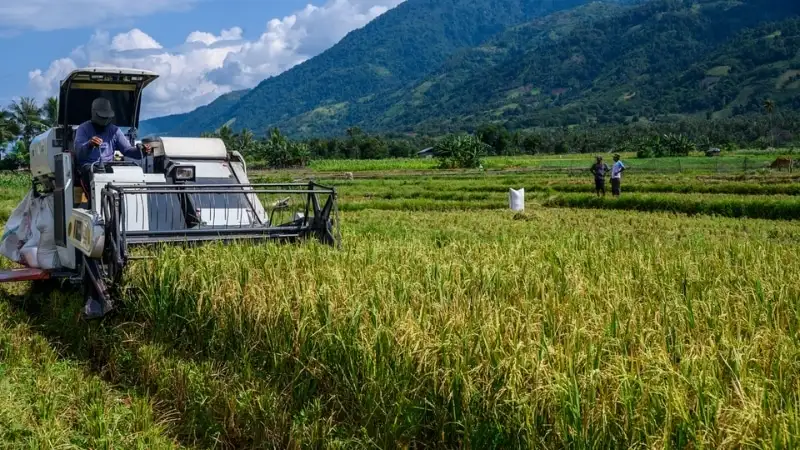 Hộ gia đình, cá nhân sản xuất nông nghiệp được sử dụng đất lâu dài